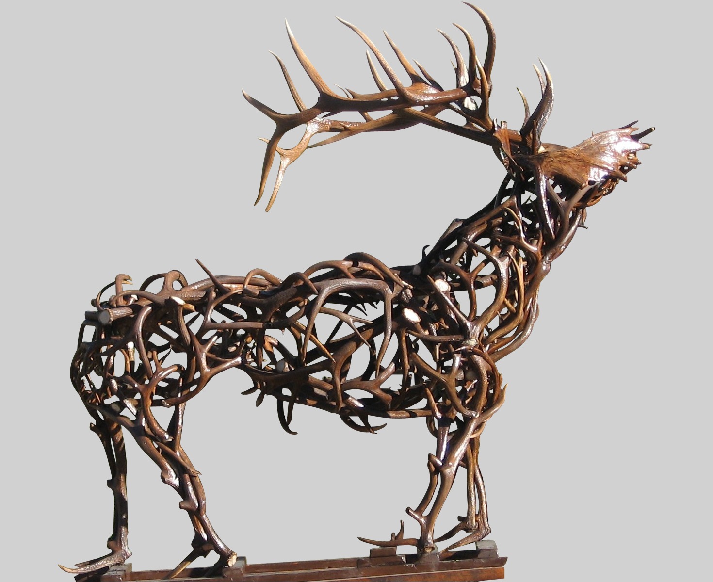 Arthur Life Sized Elk Sculpture