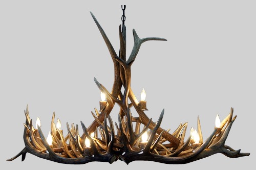 medium longs peak elk Chandelier