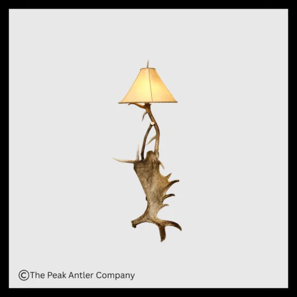 Moose & Elk Antler Floor Lamp