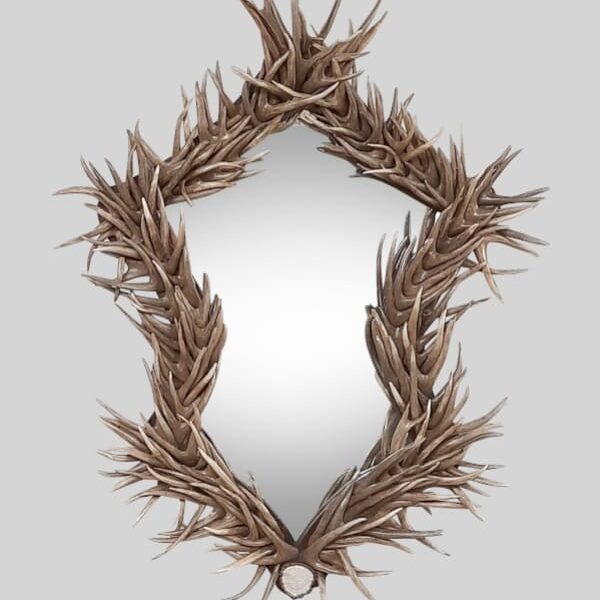 shield design mule deer antler mirror