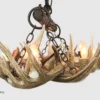 whitetail antler chandelier