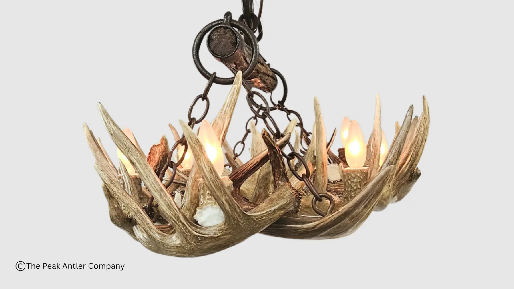 whitetail antler chandelier