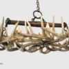 angled bottom view of the whitetail snowmass antler chandelier