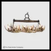 512 Snowmass Whitetail Deer Antler Chandelier