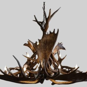 mt massive moose XL chandelier