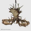 522-XL 0D 0AMt Massive Oval Moose 1800x1800 3