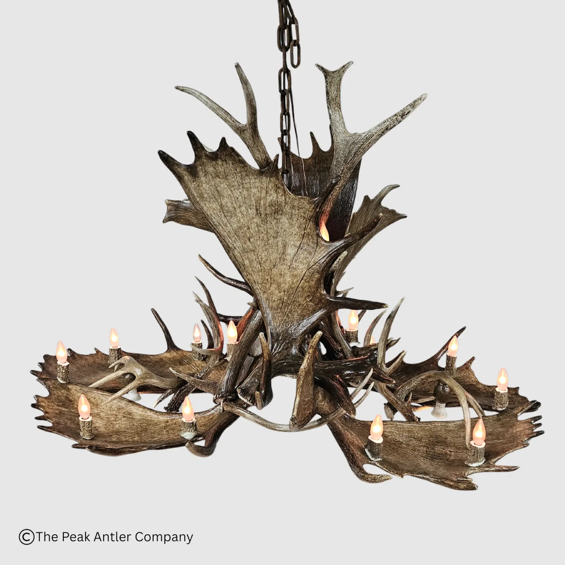522-XL 0D 0AMt Massive Oval Moose 1800x1800 3