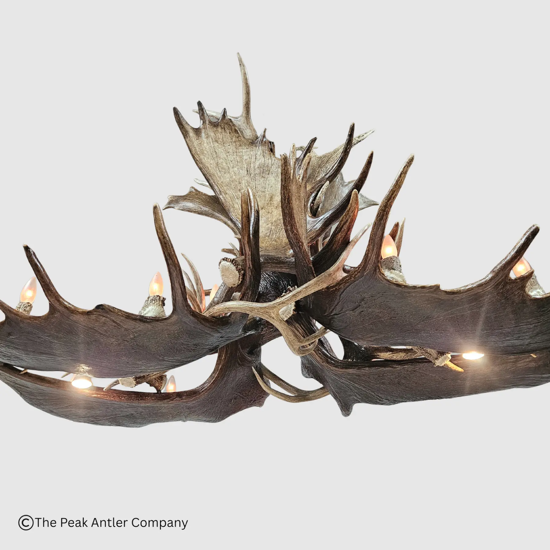 522-XL 0D 0AMt Massive Oval Moose 1800x1800 4 bottom view of the oval moose antler chandelier