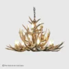 Round mule deer antler chandelier sunshine peak