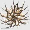bottom veiw round mule deer antler chandelier sunshine peak