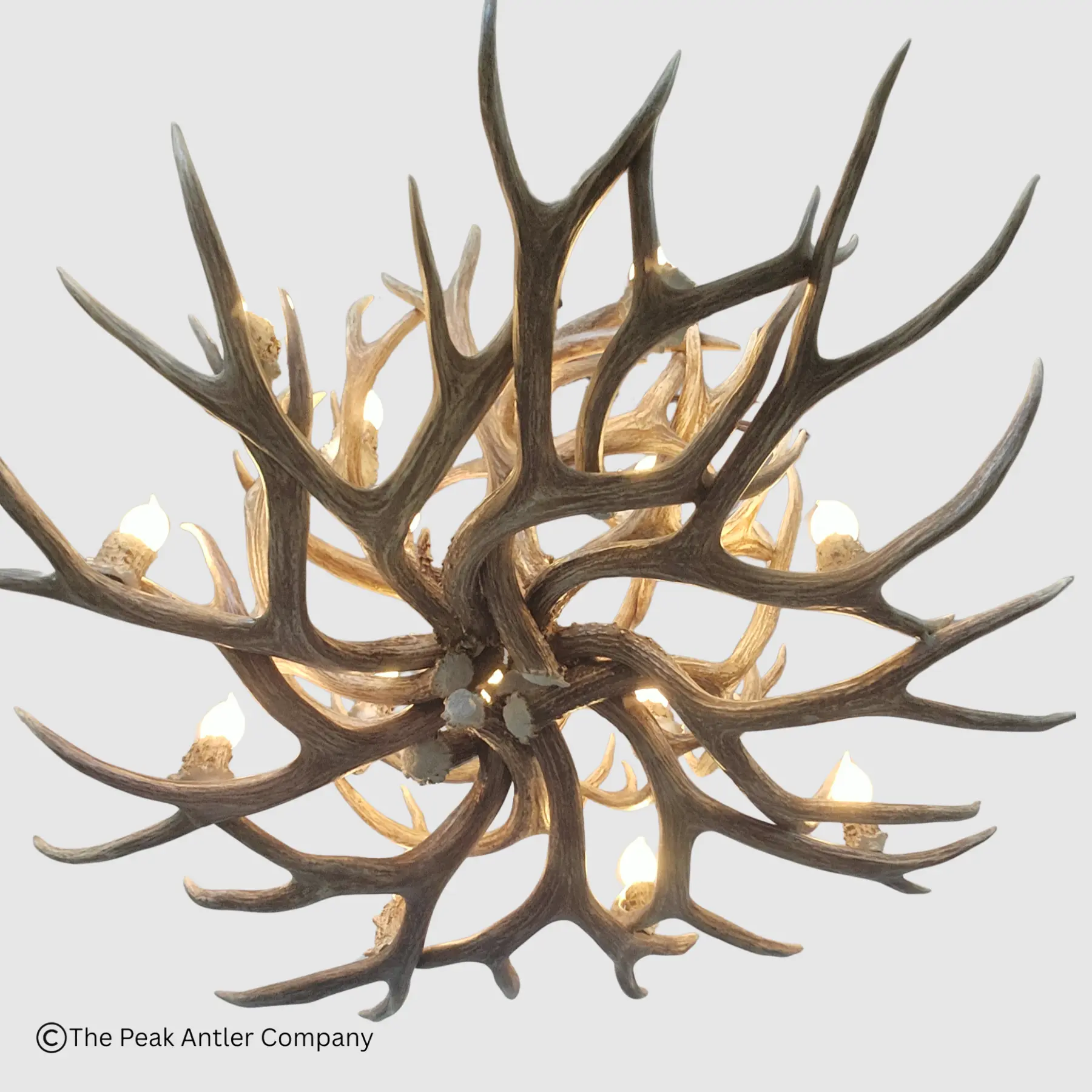 bottom veiw round mule deer antler chandelier sunshine peak