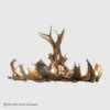 round Elk & Fallow Deer Antler Chandelier