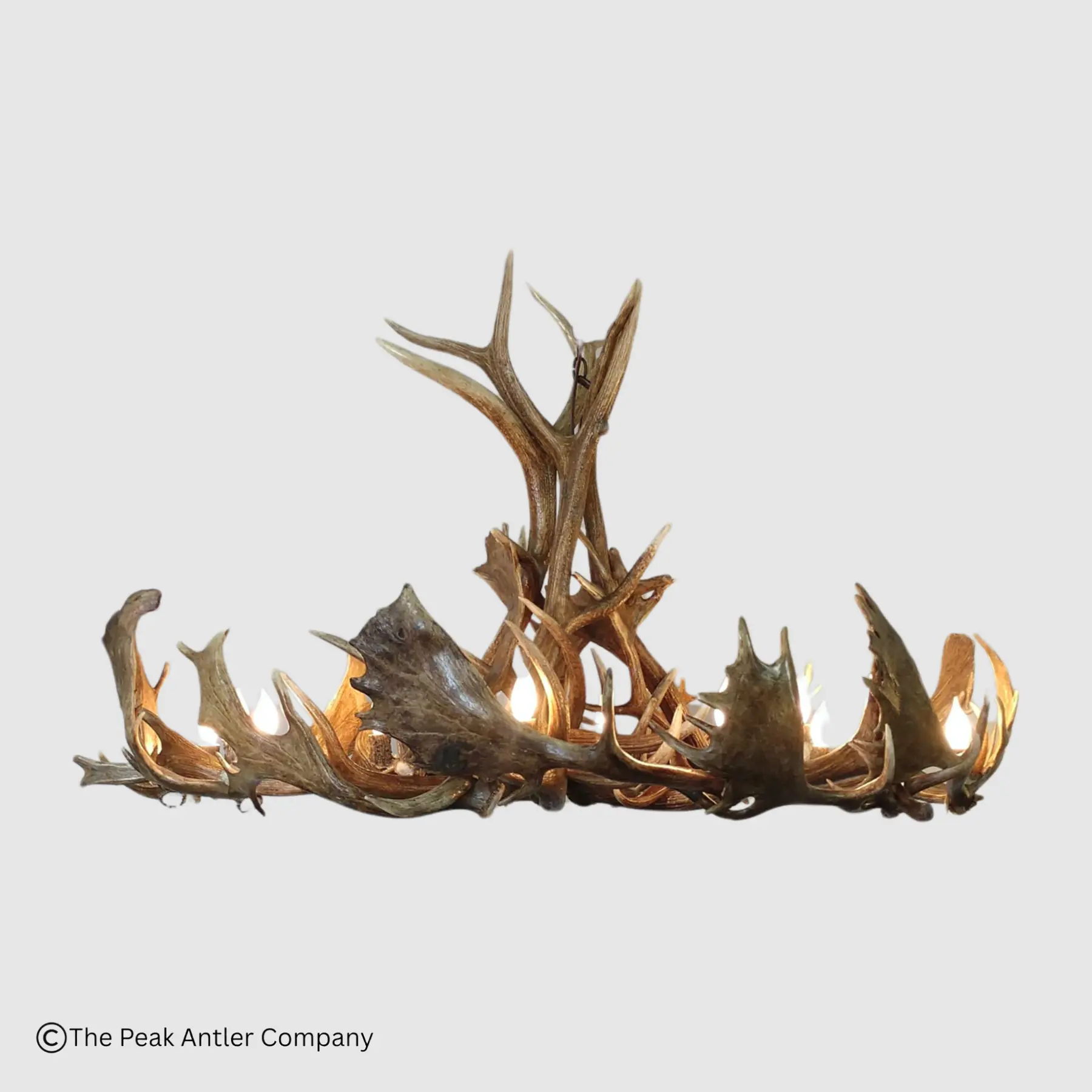 round Elk & Fallow Deer Antler Chandelier