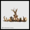 Mt. Shavano Elk & Fallow Deer Antler Chandelier