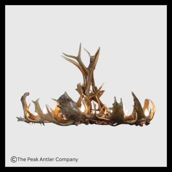 Mt. Shavano Elk & Fallow Deer Antler Chandelier
