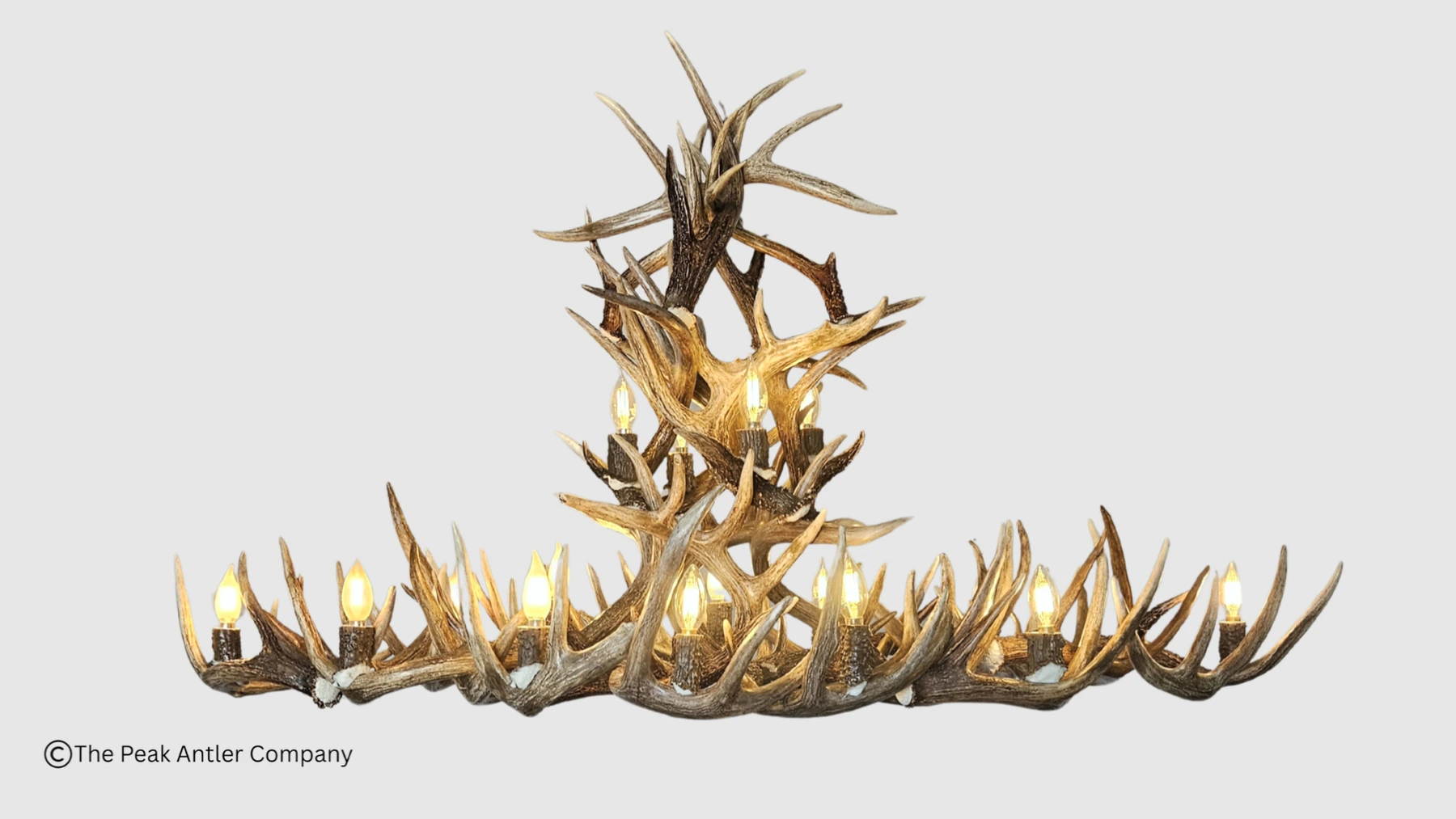 oval whitetail antler chandelier