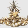 top view looking down on the oval whitetail deer antler chandelier