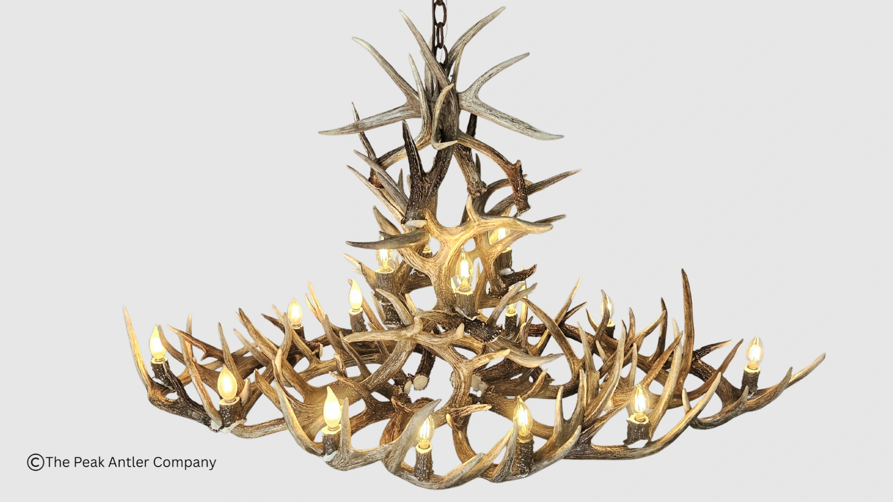 top view looking down on the oval whitetail deer antler chandelier