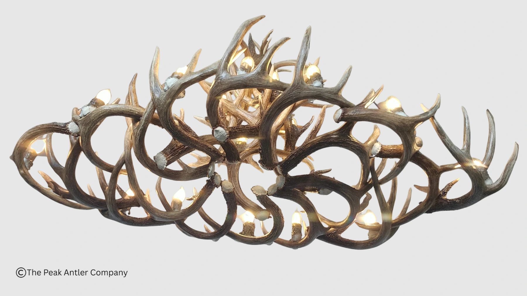 bottom view of the oval whitetail antler chandelier blanca peak