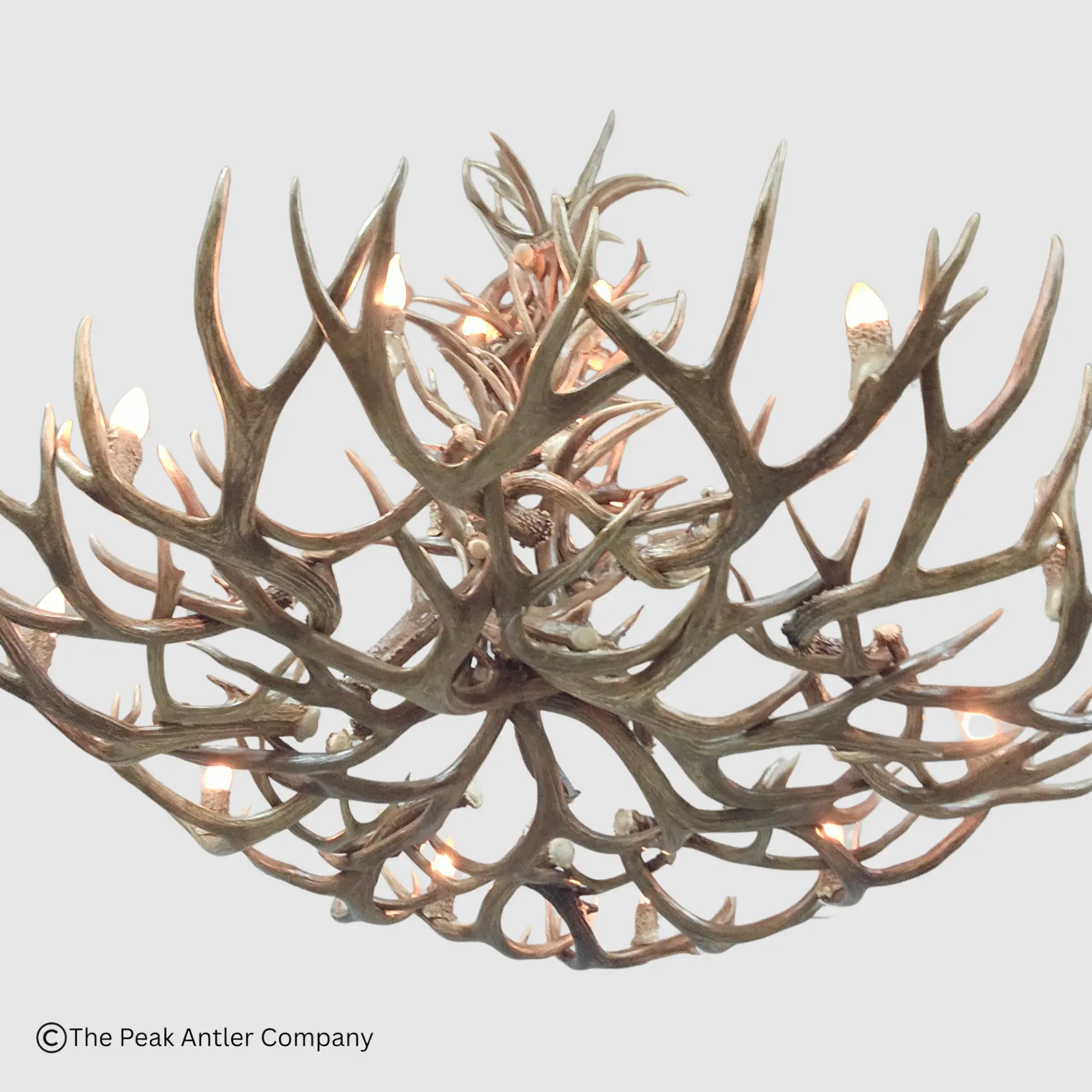 bottom view of the tall and round mule deer antler chandelier