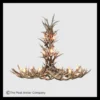 Crestone Peak Tall Mule Deer Antler Chandelier