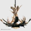 round fallow deer antler chandelier with a rawhide and mica iron base