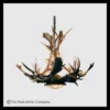 Mt. Bross Elk & Fallow Deer Antler Chandelier with Rawhide & Mica Iron Base