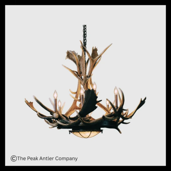 Mt. Bross Elk & Fallow Deer Antler Chandelier with Rawhide & Mica Iron Base
