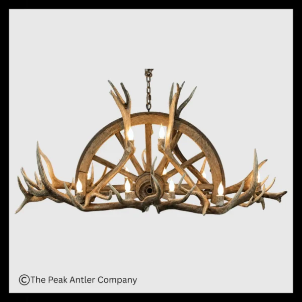 Sundial Wagon Wheel Elk Antler Oval Chandelier