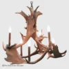 Small round fallow deer antler chandelier