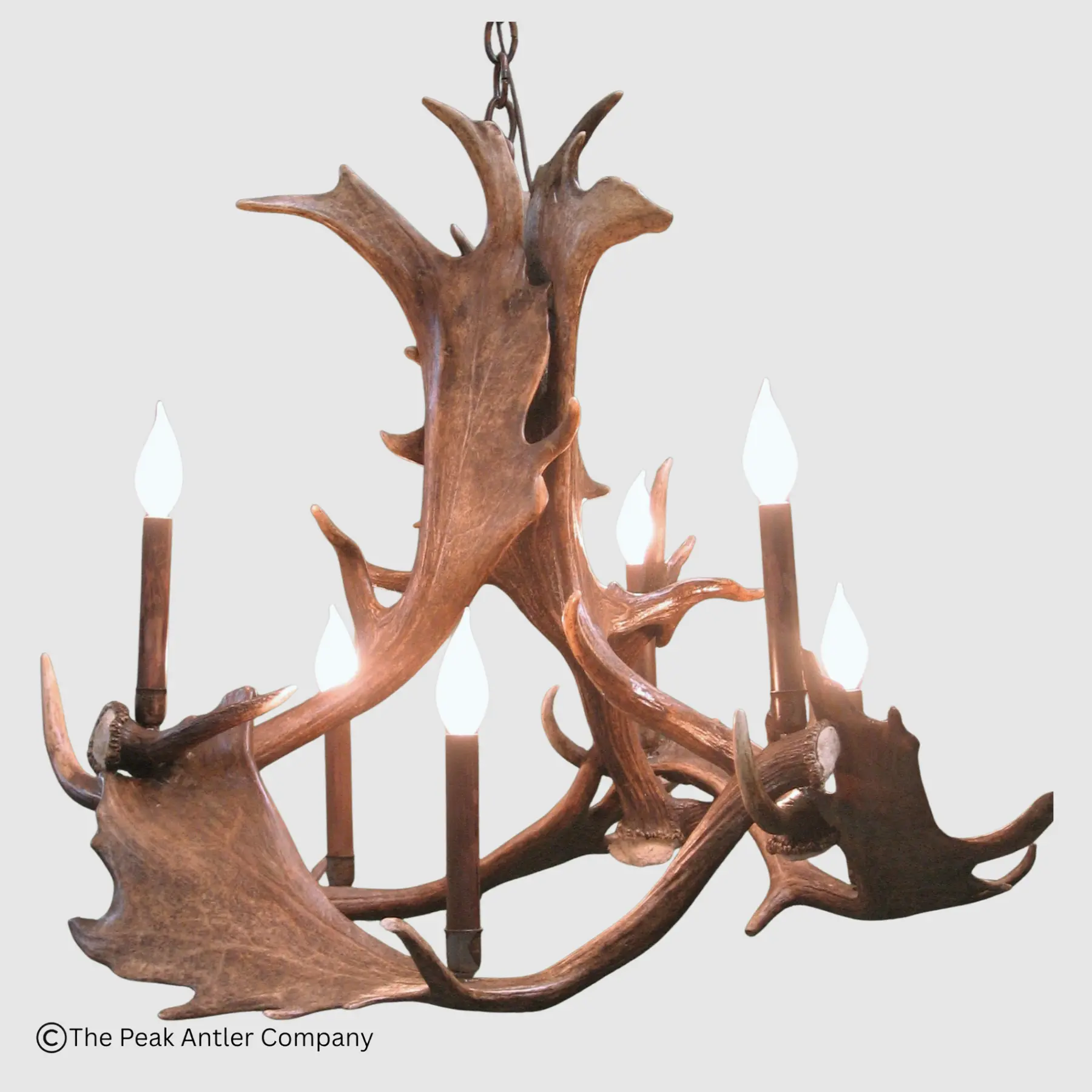 Small round fallow deer antler chandelier