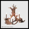 Windom Peak Fallow Deer Antler Chandelier