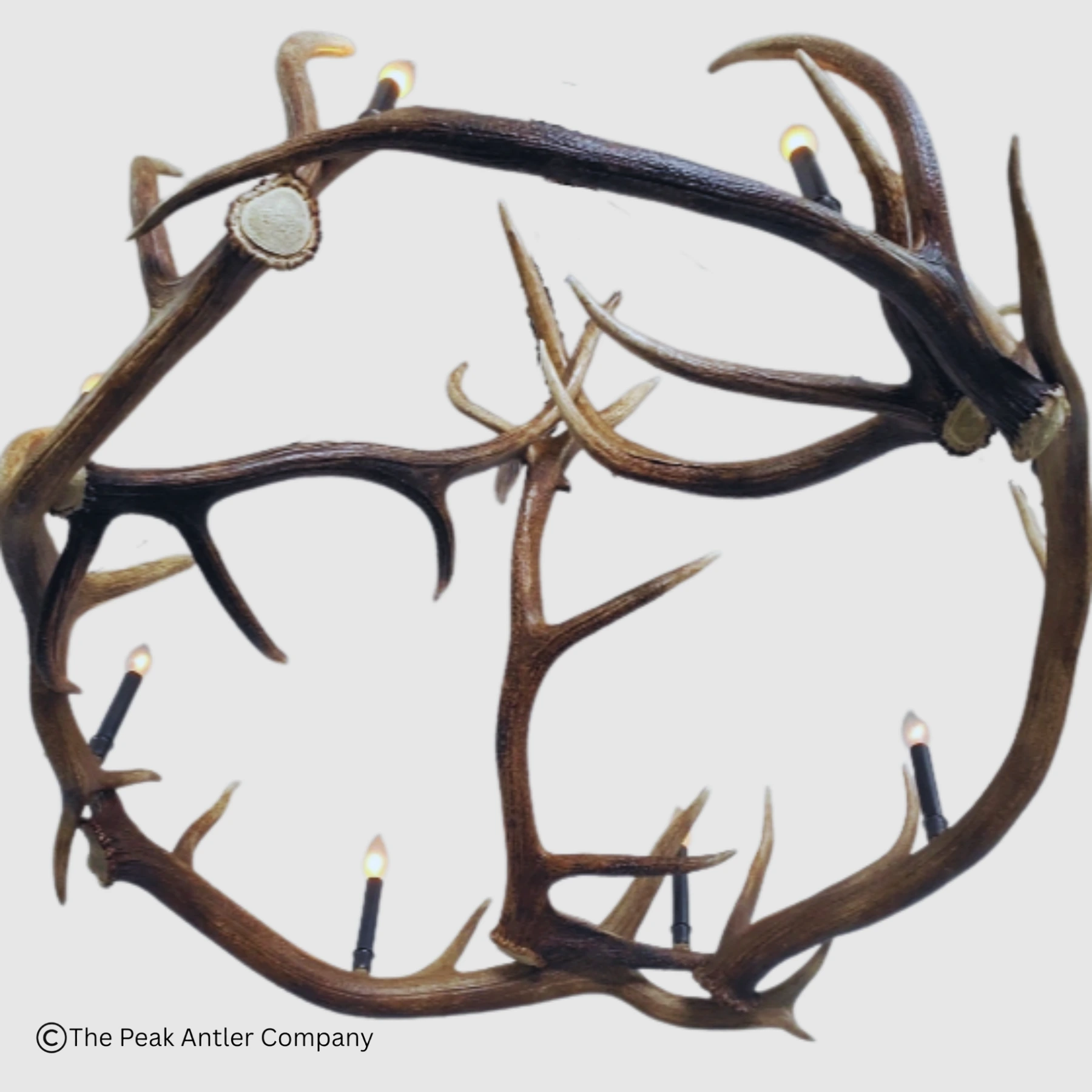 551-M Mt Eolus 3 bottom view of the round elk antler chandelier Mt Eolus