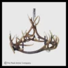 551-M Mt Eolus Elk Antler Chandelier 1800x1800 Mt Eolus Elk Antler Chandelier