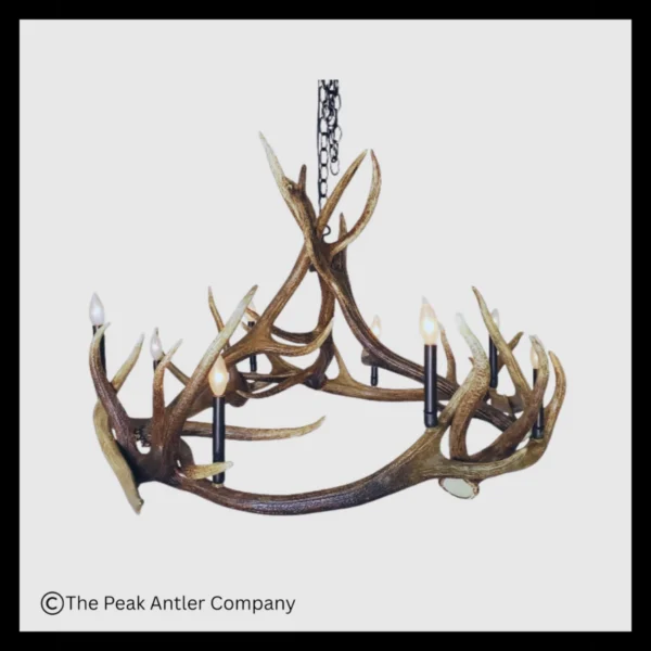 Mt Eolus Elk Antler Chandelier