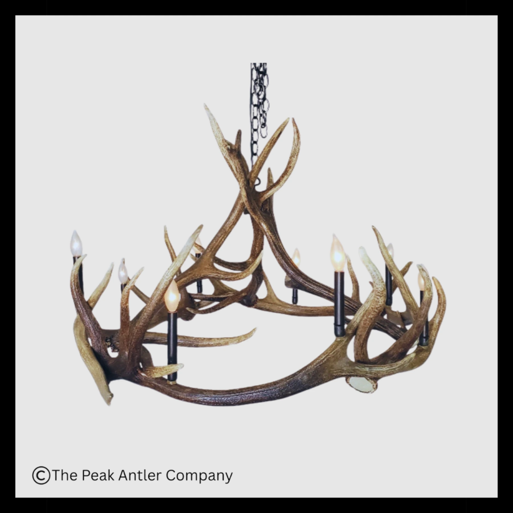 551-M Mt Eolus Elk Antler Chandelier 1800x1800 Mt Eolus Elk Antler Chandelier