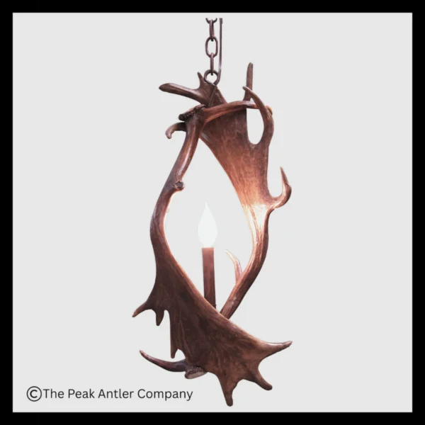 Humboldt Peak Fallow Deer Antler Pendant Light