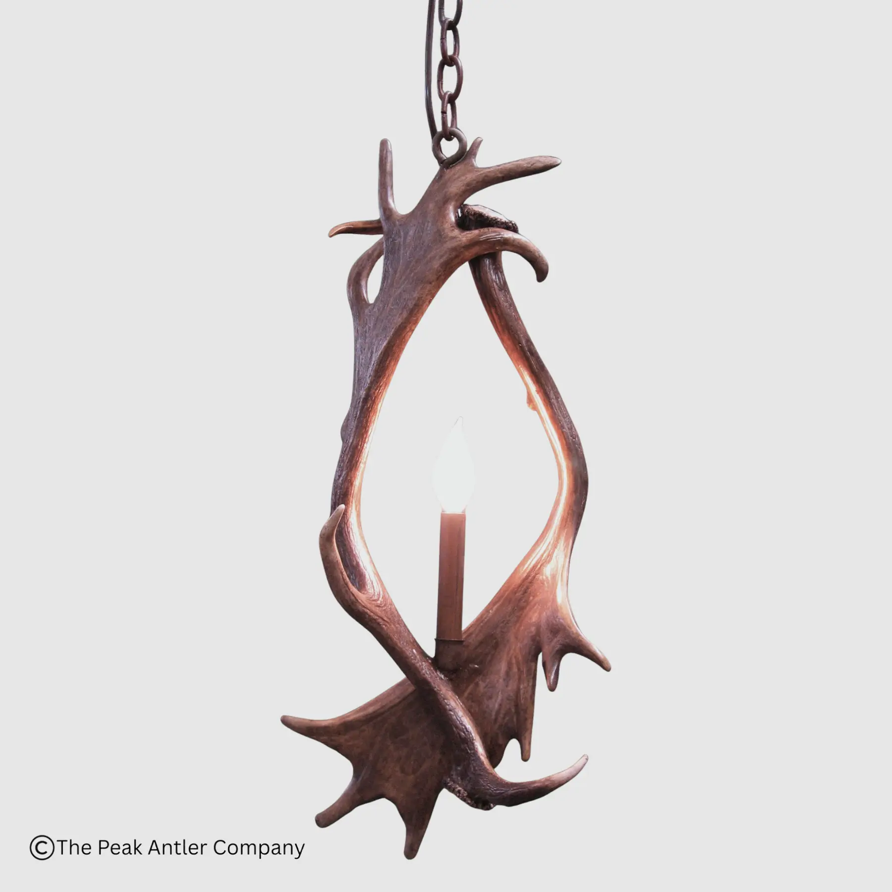 exotic fallow deer antler pendant light