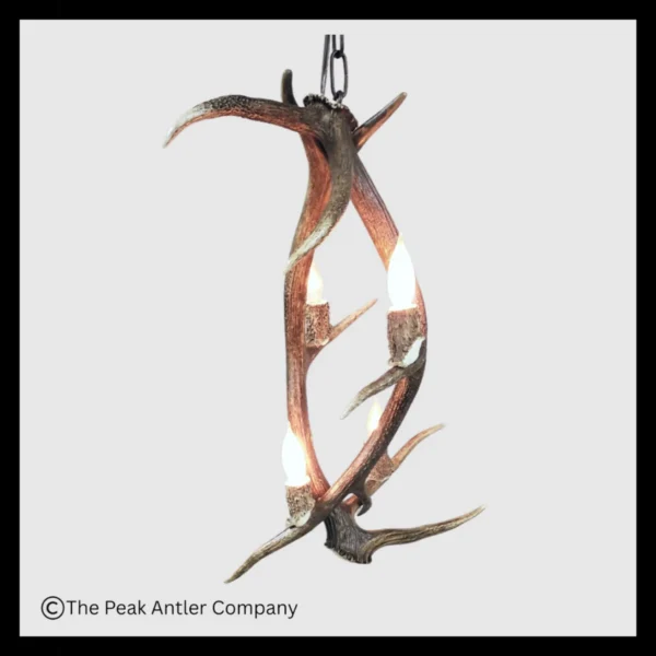 Ellingwood Point Elk Antler Pendant Light