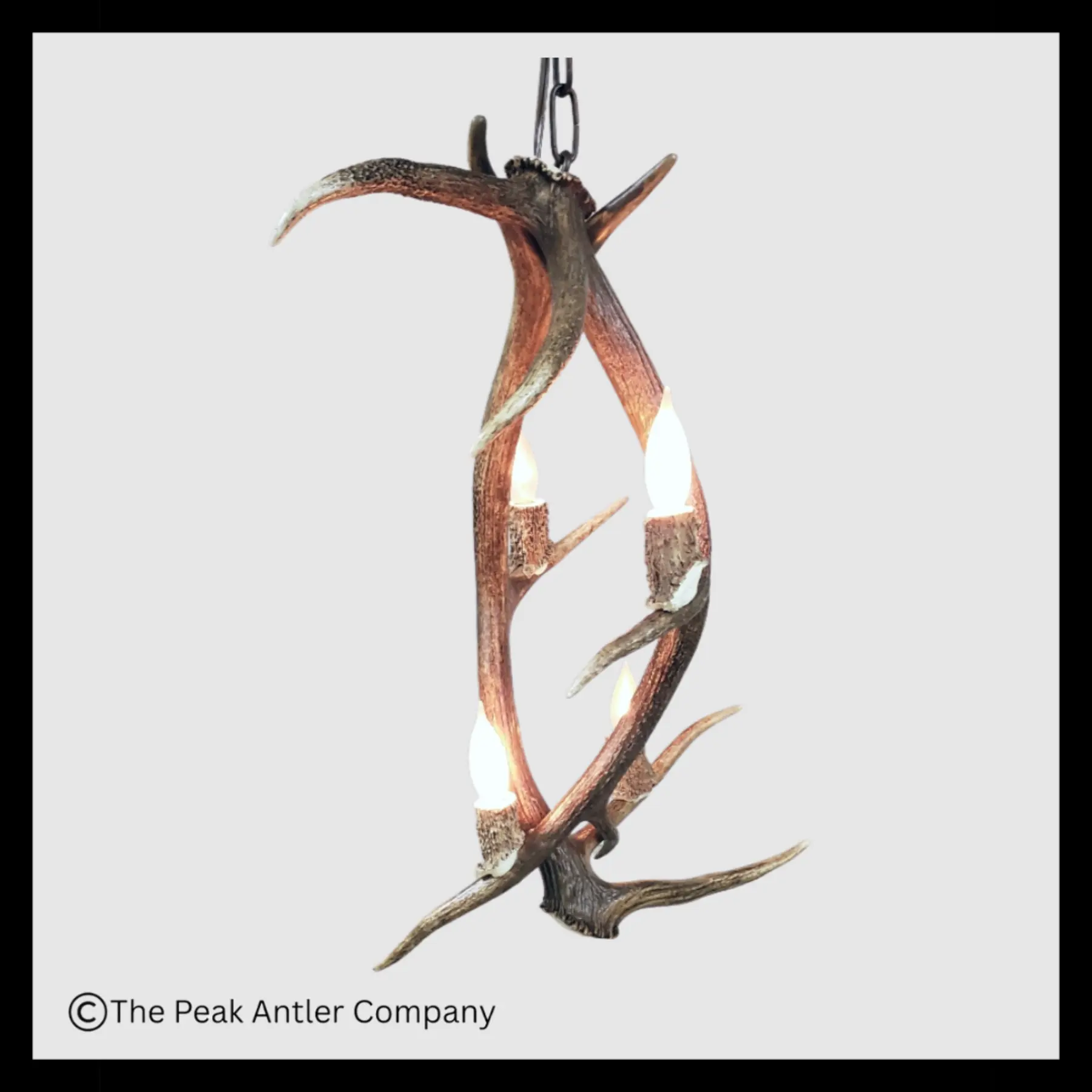 Ellingwood Point Elk Antler Pendant Light