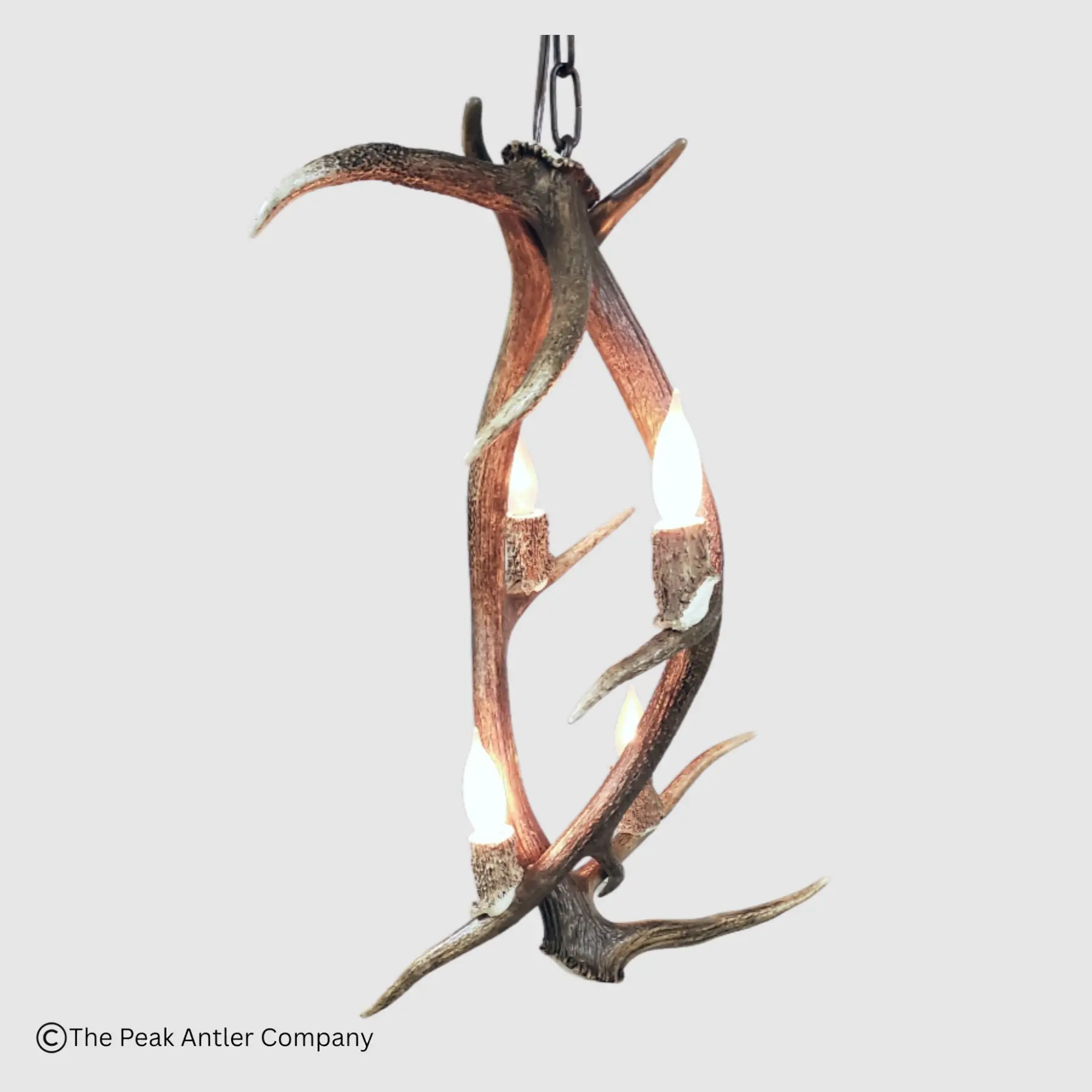 elk antler pendant light