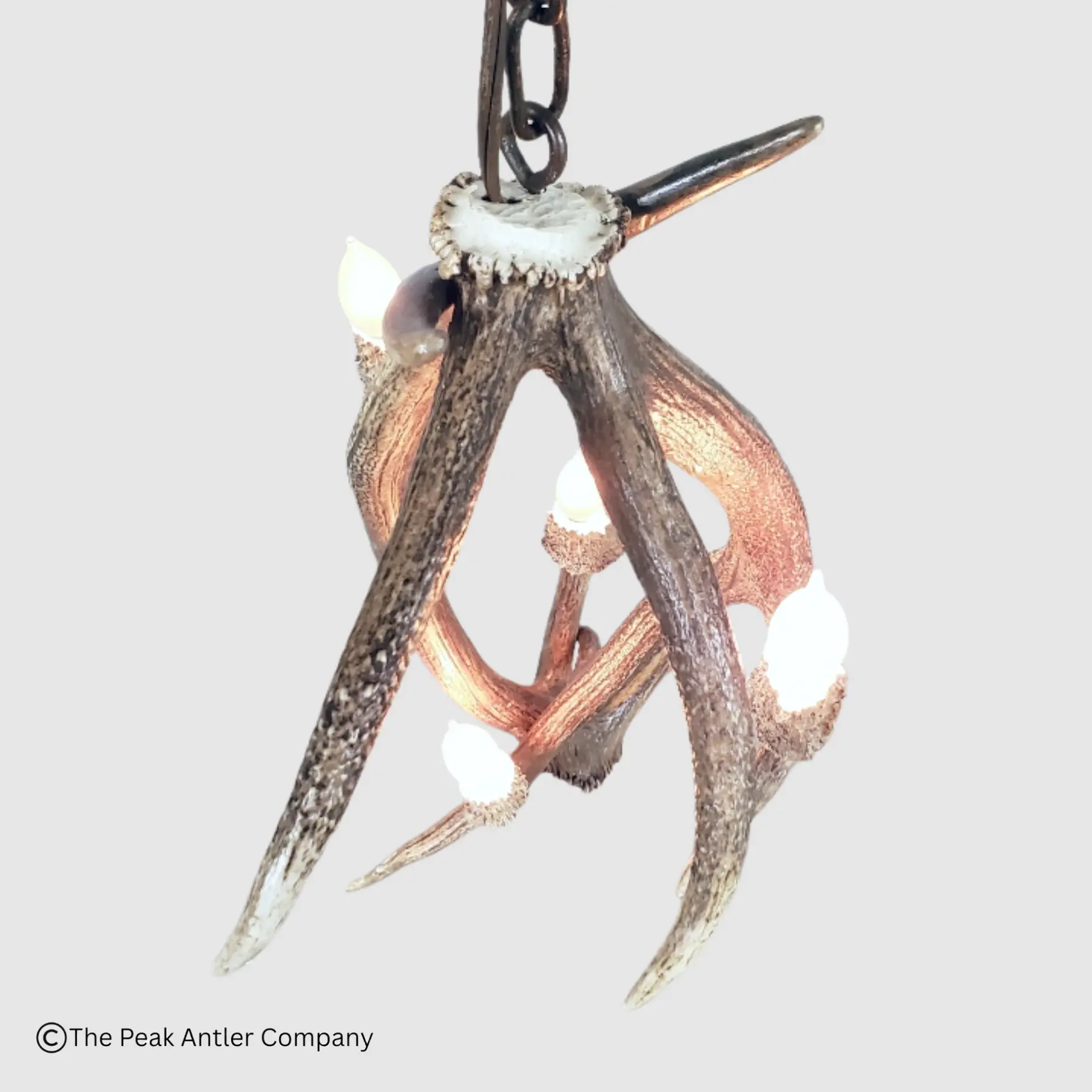 top of the ellingwood point elk antler pendant light