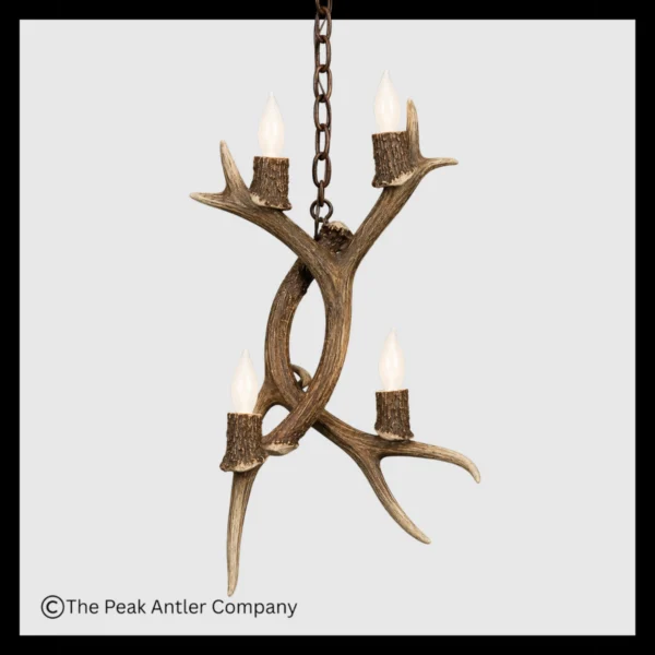 Mt Lindsay Mule Deer Antler Pendant Light