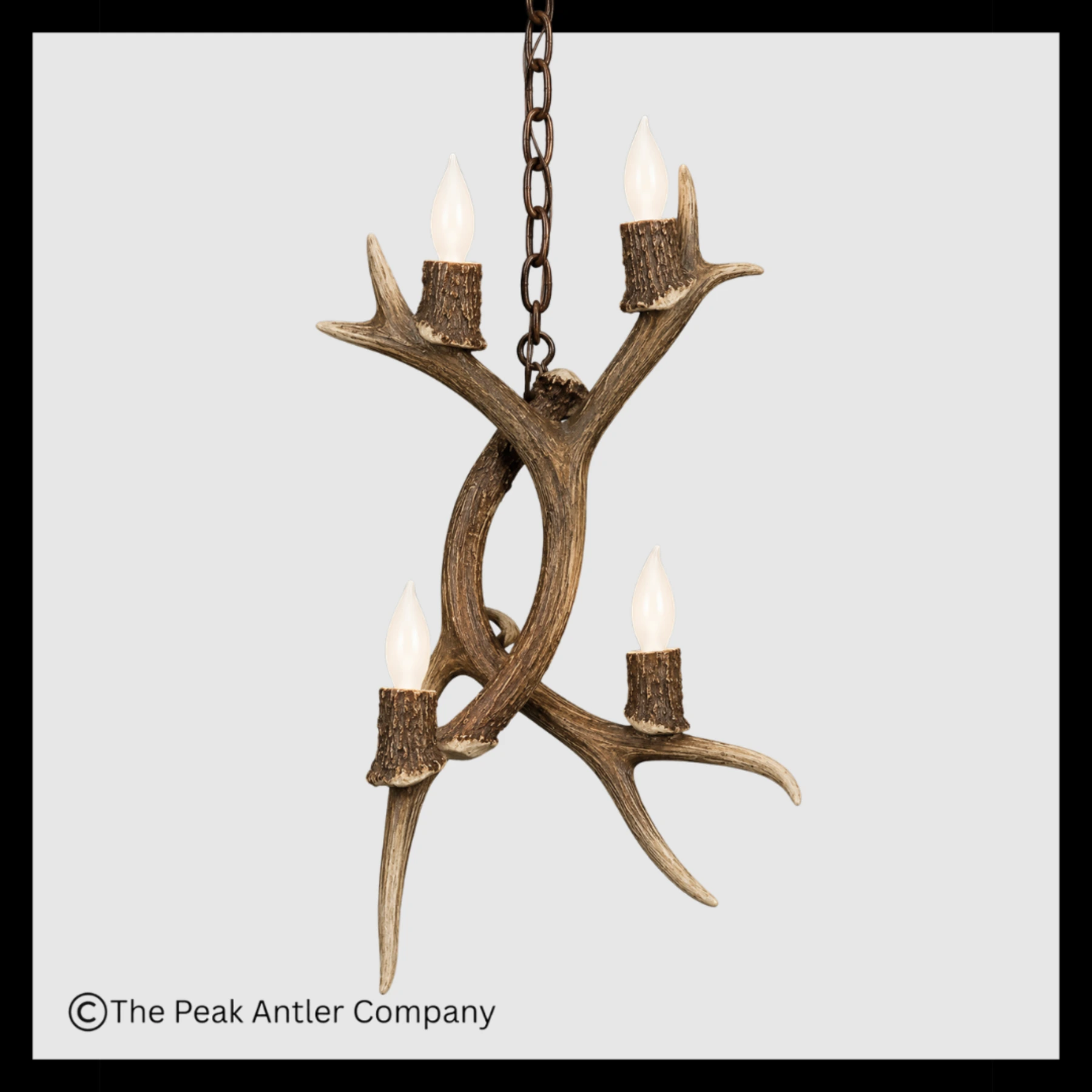 Mt Lindsay Mule Deer Antler Pendant Light