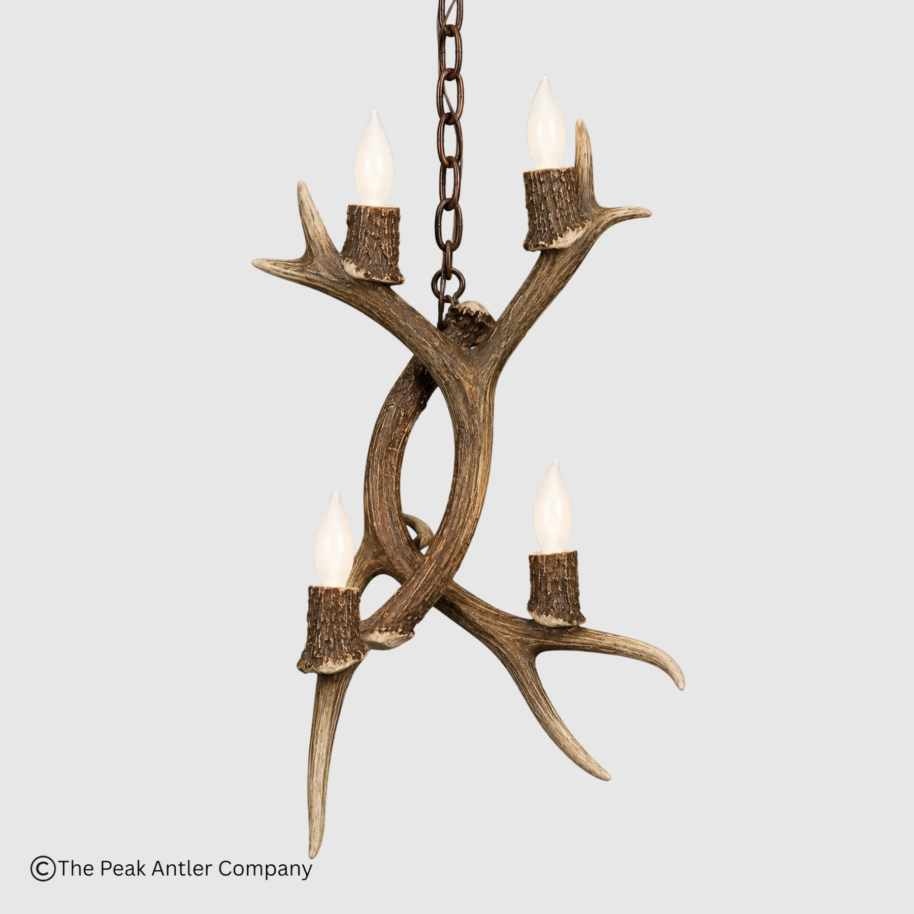 mule deer antler pendant light with two antlers 4 lights