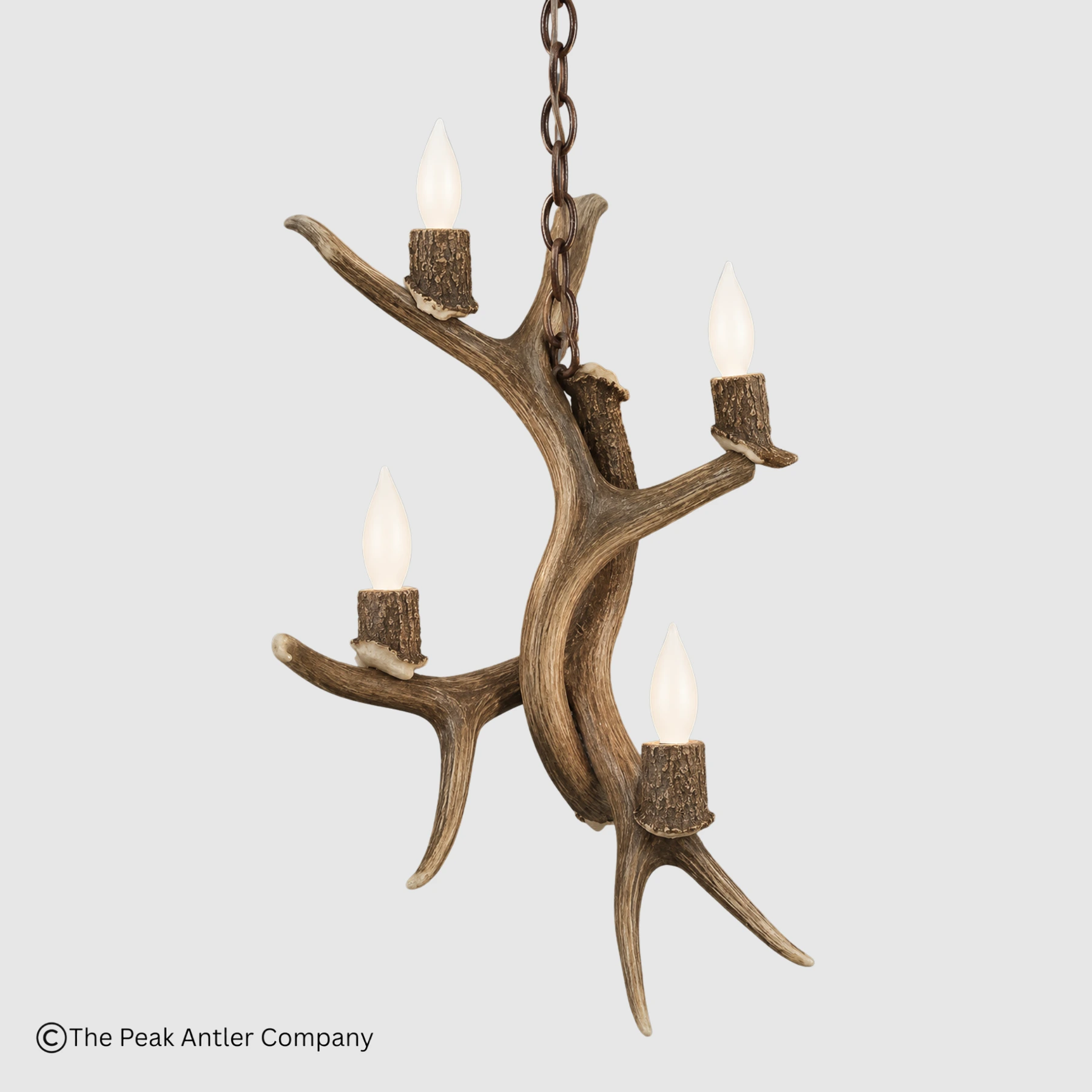 4 lights mule deer antler pendant light