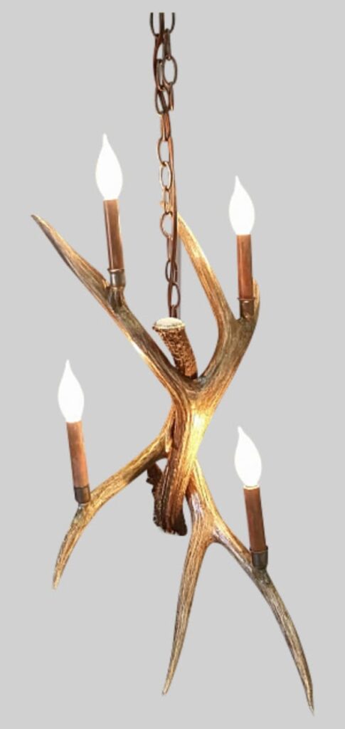 Mt Lindsay Mule Deer Antler Pendant Light