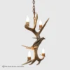 three whitetail antler and 4 lights make up this whitetail antler pendant light