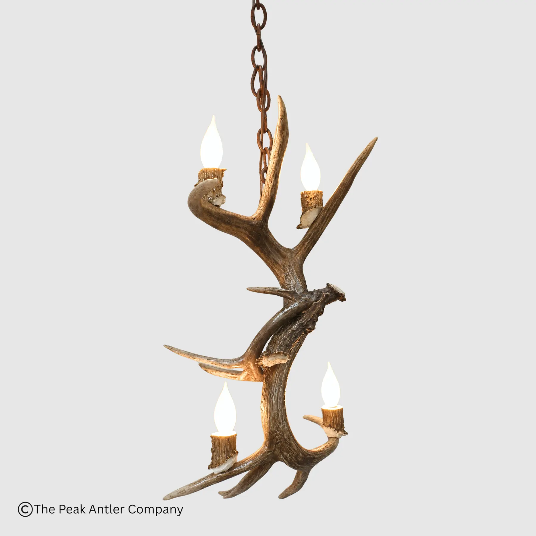three whitetail antler and 4 lights make up this whitetail antler pendant light