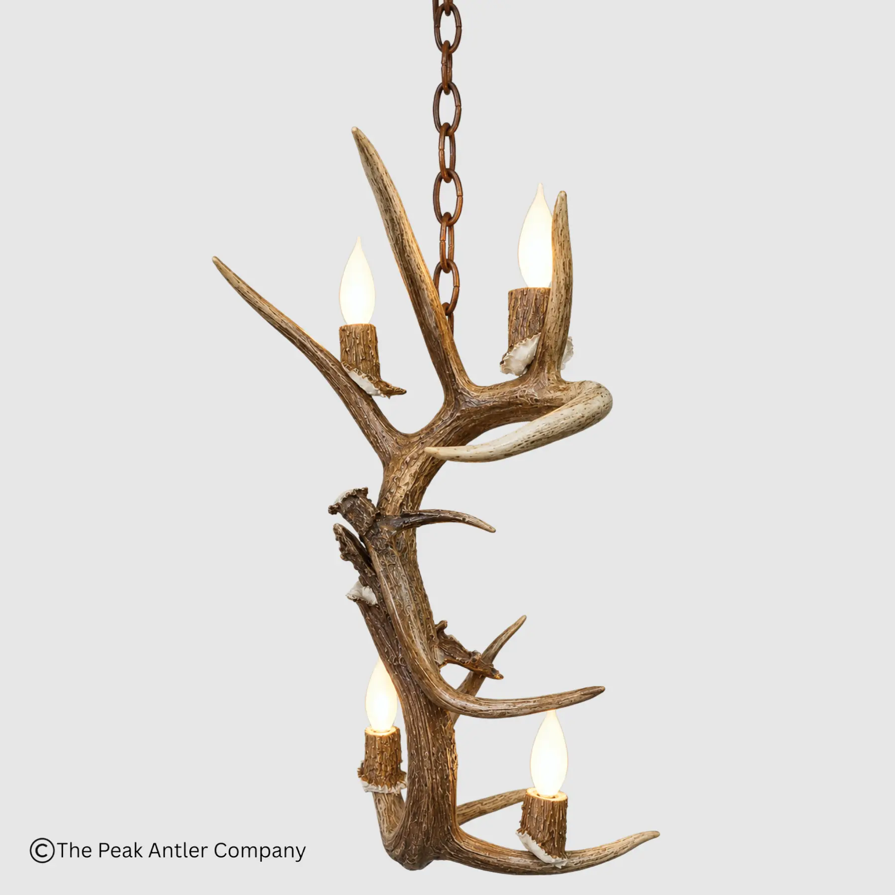 backside of the whitetail deer antler pendant light